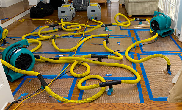 Professional Water Damage Repair technician working in Hamersville, OH